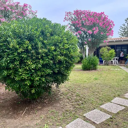 Vele 2 By La Via Del Mare Viaggi E Vacanze *